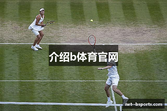 介绍b体育官网
